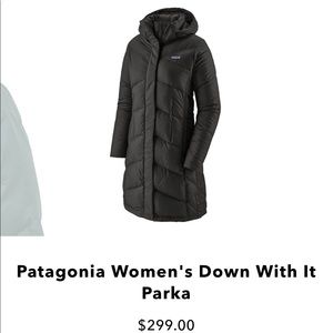Patagonia Slim Fit Longline Puffer Jacket